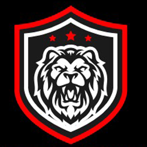 Jones Vanguard Security